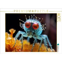 CALVENDO Puzzle Puck die Stubenfliege - Mikroorganismen 1000 Teile Lege-Größe 64x48cm Foto-Puzzle für glückliche Stunden CALVENDO Puzzle Puck die Stubenfliege - Mikroorganismen 1000 Teile Lege-Größe 64x48cm Foto-Puzzle für glückliche Stunden von Calvendo Puzzle