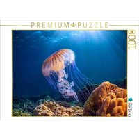CALVENDO Puzzle Qualle im blauen meer 1000 Teile Lege-Größe 64x48cm Foto-Puzzle für glückliche Stunden von Calvendo Puzzle