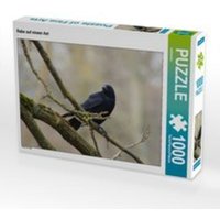 CALVENDO Puzzle Rabe auf einem Ast 1000 Teile Lege-Größe 64 x 48 cm Foto-Puzzle Bild von kattobello von CALVENDO Verlag GmbH