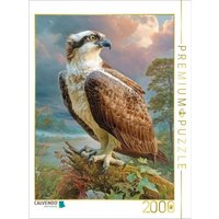 CALVENDO Puzzle Raubvögel 2000 Teile Lege-Größe 90x67cm Foto-Puzzle für glückliche Stunden CALVENDO Puzzle Raubvögel 2000 Teile Lege-Größe 90x67cm Foto-Puzzle für glückliche Stunden von CALVENDO Verlag GmbH
