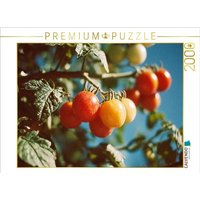 CALVENDO Puzzle Reife Tomaten am Strauch im Sonnenschein 2000 Teile Lege-Größe 90x67cm Foto-Puzzle für glückliche Stunden von Calvendo Puzzle