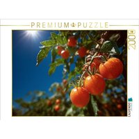 CALVENDO Puzzle Reife Tomaten leuchten im Sonnenschein des Gartens 2000 Teile Lege-Größe 90x67cm Foto-Puzzle für glückliche Stunden CALVENDO Puzzle Reife Tomaten leuchten im Sonnenschein des Gartens 2000 Teile Lege-Größe 90x67cm Foto-Puzzle für glückliche Stunden von Calvendo Puzzle
