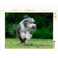 CALVENDO Puzzle Rennender Bearded Collie 1000 Teile Lege-Größe 64x48cm Foto-Puzzle für glückliche Stunden CALVENDO Puzzle Rennender Bearded Collie 1000 Teile Lege-Größe 64x48cm Foto-Puzzle für glückliche Stunden von CALVENDO Verlag GmbH