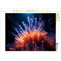 CALVENDO Puzzle Riffgeflüster 1000 Teile Lege-Größe 64x48cm Foto-Puzzle für glückliche Stunden von Calvendo Puzzle