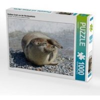CALVENDO Puzzle Robben Gruß von der Nordseeküste 1000 Teile Lege-Größe 64x48cm Foto-Puzzle für glückliche Stunden CALVENDO Puzzle Robben Gruß von der Nordseeküste 1000 Teile Lege-Größe 64x48cm Foto-Puzzle für glückliche Stunden von Calvendo Puzzle