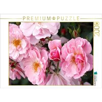 CALVENDO Puzzle Rosa Märchenland 2000 Teile Lege-Größe 90x67cm Foto-Puzzle für glückliche Stunden von CALVENDO Verlag GmbH