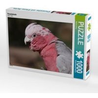 CALVENDO Puzzle Rosakakadu 1000 Teile Lege-Größe 64 x 48 cm Foto-Puzzle Bild von Martina Berg CALVENDO Puzzle Rosakakadu 1000 Teile Lege-Größe 64 x 48 cm Foto-Puzzle Bild von Martina Berg von Calvendo Puzzle