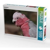 CALVENDO Puzzle Rosakakadu 1000 Teile Lege-Größe 64 x 48 cm Foto-Puzzle Bild von Martina Berg von Calvendo Puzzle