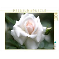 CALVENDO Puzzle Rose 'Gruß an Aachen' 1000 Teile Lege-Größe 64x48cm Foto-Puzzle für glückliche Stunden von Calvendo Puzzle