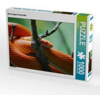 CALVENDO Puzzle Rot orangene Kornnatter 1000 Teile Lege-Größe 64 x 48 cm Foto-Puzzle Bild von Kattobello CALVENDO Puzzle Rot orangene Kornnatter 1000 Teile Lege-Größe 64 x 48 cm Foto-Puzzle Bild von Kattobello von xxx