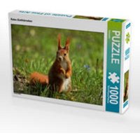 CALVENDO Puzzle Rotes Eichhörnchen 1000 Teile Lege-Größe 64 x 48 cm Foto-Puzzle Bild von Kattobello von Calvendo Puzzle