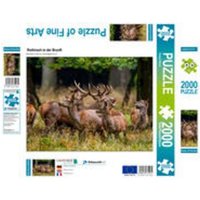 CALVENDO Puzzle Rothirsch in der Brunft 2000 Teile Lege-Größe 90 × 67 cm Foto-Puzzle für glückliche Stunden CALVENDO Puzzle Rothirsch in der Brunft 2000 Teile Lege-Größe 90 × 67 cm Foto-Puzzle für glückliche Stunden von CALVENDO Verlag GmbH