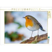 CALVENDO Puzzle Rotkehlchen 1000 Teile Lege-Größe 64 × 48 cm Foto-Puzzle für glückliche Stunden von CALVENDO Verlag GmbH