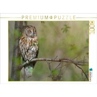 CALVENDO Puzzle Ruhender Waldkauz 1000 Teile Lege-Größe 64x48cm Foto-Puzzle für glückliche Stunden CALVENDO Puzzle Ruhender Waldkauz 1000 Teile Lege-Größe 64x48cm Foto-Puzzle für glückliche Stunden von Calvendo Puzzle