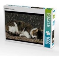 CALVENDO Puzzle Schlafende Hauskatze 1000 Teile Lege-Größe 64 x 48 cm Foto-Puzzle Bild von kattobello CALVENDO Puzzle Schlafende Hauskatze 1000 Teile Lege-Größe 64 x 48 cm Foto-Puzzle Bild von kattobello von Calvendo Puzzle