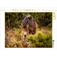 CALVENDO Puzzle Schüchternes Fohlen 1000 Teile Lege-Größe 64x48cm Foto-Puzzle für glückliche Stunden CALVENDO Puzzle Schüchternes Fohlen 1000 Teile Lege-Größe 64x48cm Foto-Puzzle für glückliche Stunden von Calvendo Puzzle