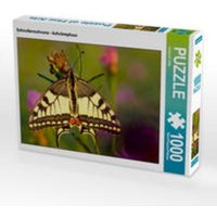 CALVENDO Puzzle Schwalbenschwanz - Aufwärmphase 1000 Teile Lege-Größe 64 x 48 cm Foto-Puzzle Bild von Ursula Di Chito CALVENDO Puzzle Schwalbenschwanz - Aufwärmphase 1000 Teile Lege-Größe 64 x 48 cm Foto-Puzzle Bild von Ursula Di Chito von Calvendo Puzzle