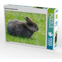 CALVENDO Puzzle Schwarzes Zwergkaninchen 1000 Teile Lege-Größe 64 x 48 cm Foto-Puzzle Bild von kattobello von Calvendo Puzzle