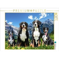 CALVENDO Puzzle Schweizer Sennenhund 1000 Teile Lege-Größe 64x48cm Foto-Puzzle für glückliche Stunden von Calvendo Puzzle