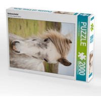 CALVENDO Puzzle Seitenscheitel 2000 Teile Puzzle hoch 2000 Teile Lege-Größe 90 × 67 cm Foto-Puzzle für glückliche Stunden CALVENDO Puzzle Seitenscheitel 2000 Teile Puzzle hoch 2000 Teile Lege-Größe 90 × 67 cm Foto-Puzzle für glückliche Stunden von Calvendo Puzzle
