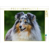 CALVENDO Puzzle Sheltie-Porträt 1000 Teile Lege-Größe 64x48cm Foto-Puzzle für glückliche Stunden CALVENDO Puzzle Sheltie-Porträt 1000 Teile Lege-Größe 64x48cm Foto-Puzzle für glückliche Stunden von CALVENDO Verlag GmbH