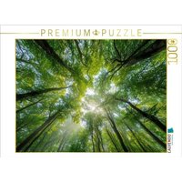 CALVENDO Puzzle Sonnenstrahlen fallen durch das dichte Blätterdach eines sommerlichen Waldes und schaffen eine Atmosphäre der Ruhe und Entspannung. von Calvendo Puzzle