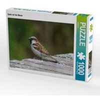 CALVENDO Puzzle Spatz auf der Mauer 1000 Teile Lege-Größe 64 x 48 cm Foto-Puzzle Bild von kattobello von Calvendo Puzzle