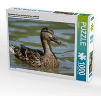 CALVENDO Puzzle Stockente (Anas platyrhynchos) weiblich 1000 Teile Lege-Größe 64 x 48 cm Foto-Puzzle Bild von kattobello von CALVENDO Verlag GmbH
