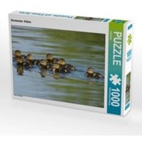 CALVENDO Puzzle Stockenten Küken 1000 Teile Lege-Größe 64 x 48 cm Foto-Puzzle Bild von Kattobello CALVENDO Puzzle Stockenten Küken 1000 Teile Lege-Größe 64 x 48 cm Foto-Puzzle Bild von Kattobello von CALVENDO Verlag GmbH