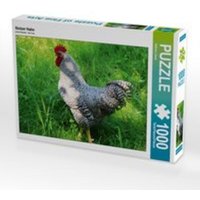 CALVENDO Puzzle Stolzer Hahn 1000 Teile Lege-Größe 64 x 48 cm Foto-Puzzle Bild von Sabine Löwer CALVENDO Puzzle Stolzer Hahn 1000 Teile Lege-Größe 64 x 48 cm Foto-Puzzle Bild von Sabine Löwer von Calvendo Puzzle