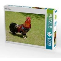 CALVENDO Puzzle Stolzer Hahn 1000 Teile Lege-Größe 64 x 48 cm Foto-Puzzle Bild von kattobello CALVENDO Puzzle Stolzer Hahn 1000 Teile Lege-Größe 64 x 48 cm Foto-Puzzle Bild von kattobello von Calvendo Puzzle