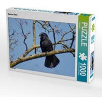 CALVENDO Puzzle Stolzer Rabe 1000 Teile Lege-Größe 64 x 48 cm Foto-Puzzle Bild von Kattobello CALVENDO Puzzle Stolzer Rabe 1000 Teile Lege-Größe 64 x 48 cm Foto-Puzzle Bild von Kattobello von Calvendo Puzzle