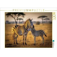CALVENDO Puzzle Streifen im Sonnenlauf. 1000 Teile Lege-Größe 64 × 48 cm Foto-Puzzle für glückliche Stunden von Calvendo Puzzle