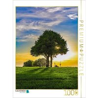 CALVENDO Puzzle Stupfericher Kulturwanderpfad 1000 Teile Lege-Größe 64x48cm Foto-Puzzle für glückliche Stunden von CALVENDO Verlag GmbH