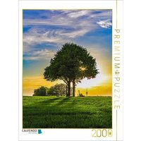 CALVENDO Puzzle Stupfericher Kulturwanderpfad 2000 Teile Lege-Größe 90x67cm Foto-Puzzle für glückliche Stunden von CALVENDO Verlag GmbH