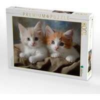 CALVENDO Puzzle Süsse Katzengeschwister 1000 Teile Lege-Größe 64x48cm Foto-Puzzle für glückliche Stunden CALVENDO Puzzle Süsse Katzengeschwister 1000 Teile Lege-Größe 64x48cm Foto-Puzzle für glückliche Stunden von Calvendo Puzzle
