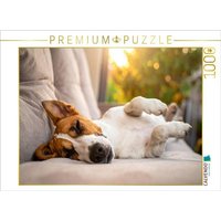 CALVENDO Puzzle Terrier vor der nächsten Action im seligen Schlaf 1000 Teile Lege-Größe 64x48cm Foto-Puzzle für glückliche Stunden von Calvendo Puzzle