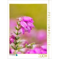 CALVENDO Puzzle Torfheide (Erica tetralix) 2000 Teile Lege-Größe 90x67cm Foto-Puzzle für glückliche Stunden von Calvendo Puzzle