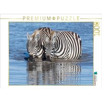 CALVENDO Puzzle Trinkende Zebras 1000 Teile Lege-Größe 64x48cm Foto-Puzzle für glückliche Stunden von Calvendo Puzzle