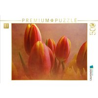 CALVENDO Puzzle Tulpen im Nebel 500 Teile Lege-Größe 48 × 36 cm Foto-Puzzle für Erwachsene von Calvendo Puzzle