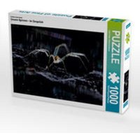 CALVENDO Puzzle Unsere Spinnen - im Gespräch 1000 Teile Lege-Größe 64 x 48 cm Foto-Puzzle Bild von Carl-Peter Herbolzheimer CALVENDO Puzzle Unsere Spinnen - im Gespräch 1000 Teile Lege-Größe 64 x 48 cm Foto-Puzzle Bild von Carl-Peter Herbolzheimer von Calvendo Puzzle