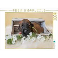 CALVENDO Puzzle Upps - umgekippt 1000 Teile Lege-Größe 64x48cm Foto-Puzzle für glückliche Stunden von CALVENDO Verlag GmbH