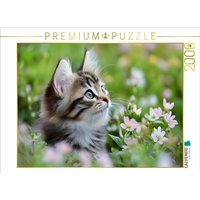 CALVENDO Puzzle Verträumte Katze in der Wiese 2000 Teile Lege-Größe 90x67cm Foto-Puzzle für glückliche Stunden von Calvendo Puzzle