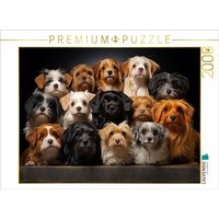 CALVENDO Puzzle Viele kleine Hunde auf einem Bild 2000 Teile Lege-Größe 90x67cm Foto-Puzzle für glückliche Stunden CALVENDO Puzzle Viele kleine Hunde auf einem Bild 2000 Teile Lege-Größe 90x67cm Foto-Puzzle für glückliche Stunden von Calvendo Puzzle
