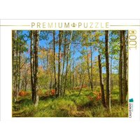 CALVENDO Puzzle Wälder im Acadia National Park 1000 Teile Lege-Größe 64x48cm Foto-Puzzle für glückliche Stunden von CALVENDO Verlag GmbH