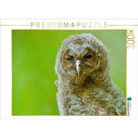 CALVENDO Puzzle Waldkauz-Ästling 1000 Teile Lege-Größe 64x48cm Foto-Puzzle für glückliche Stunden CALVENDO Puzzle Waldkauz-Ästling 1000 Teile Lege-Größe 64x48cm Foto-Puzzle für glückliche Stunden von Calvendo Puzzle