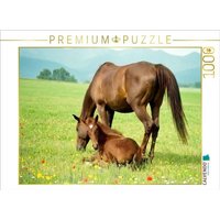 CALVENDO Puzzle Warmblutstute und Fohlen 1000 Teile Lege-Größe 64x48cm Foto-Puzzle für glückliche Stunden von Calvendo Puzzle