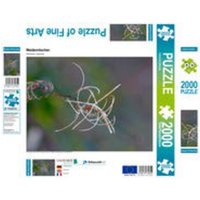 CALVENDO Puzzle Weidenröschen 2000 Teile Lege-Größe 90 × 67 cm Foto-Puzzle für glückliche Stunden CALVENDO Puzzle Weidenröschen 2000 Teile Lege-Größe 90 × 67 cm Foto-Puzzle für glückliche Stunden von CALVENDO Verlag GmbH