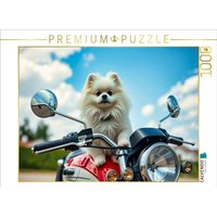 CALVENDO Puzzle Weißer Pomeranian 1000 Teile Lege-Größe 64x48cm Foto-Puzzle für glückliche Stunden von Calvendo Puzzle