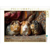 CALVENDO Puzzle Wenn Schnuten verzaubern - drei Meerschweinchen 1000 Teile Lege-Größe 64x48cm Foto-Puzzle für glückliche Stunden von Calvendo Puzzle